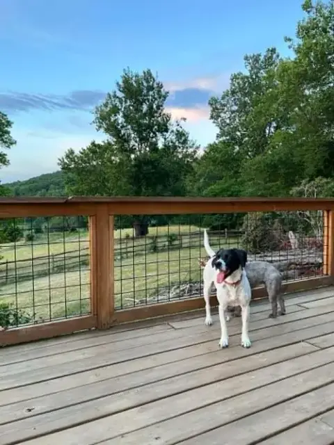 Addie photo 4