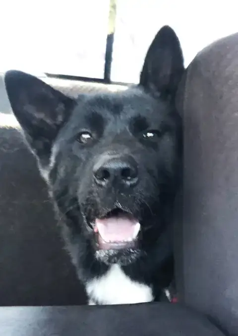Micah photo 3
