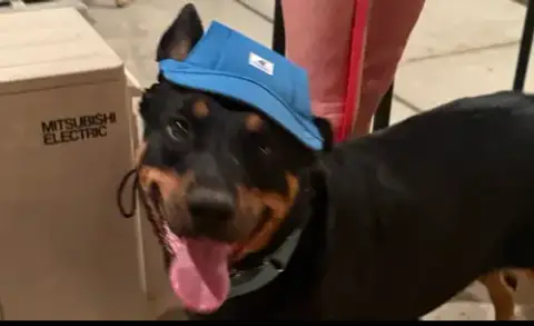 Obi