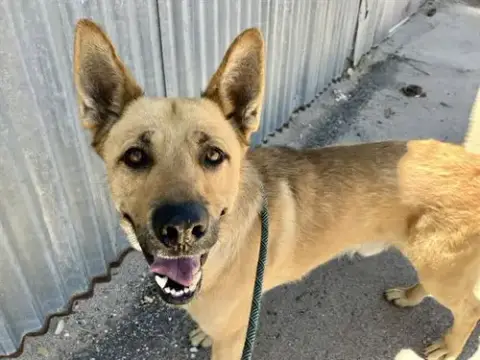 Max
