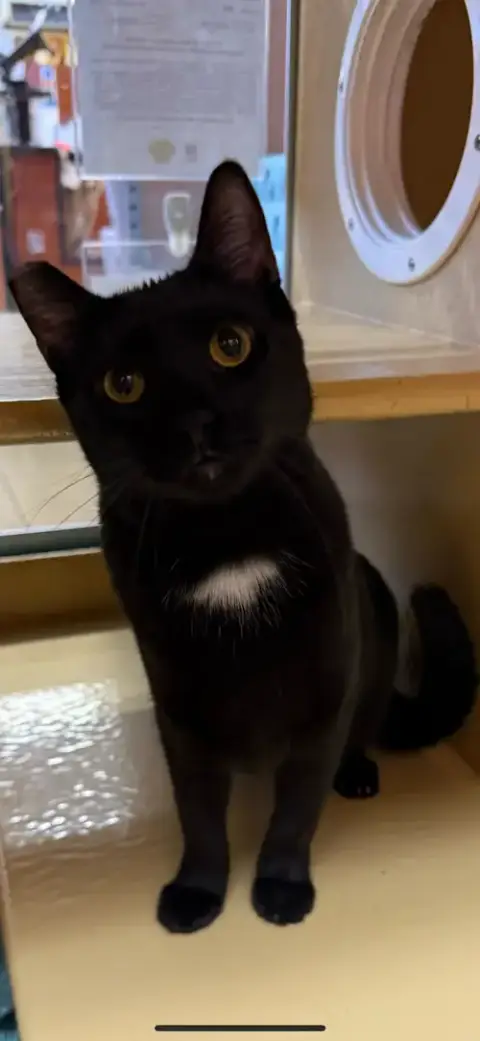 Laverne