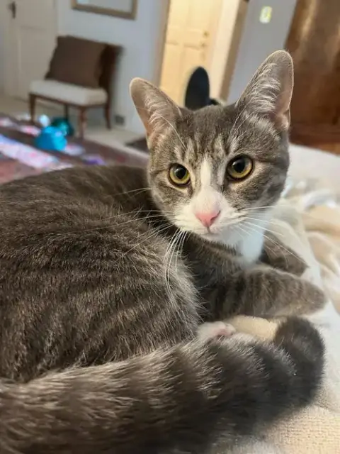 Carly Kat