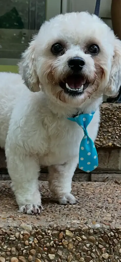 Happy  Man photo 2