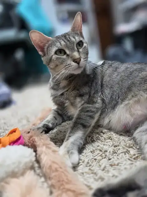 Freya photo 2