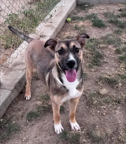 Lucy photo 3