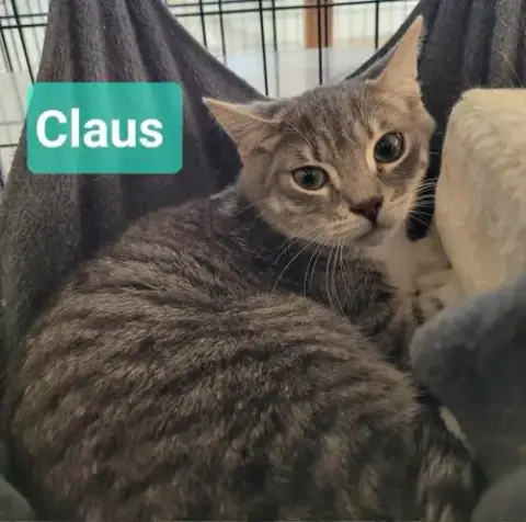 Claus