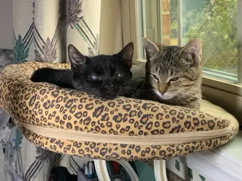 Carter And Tucker
