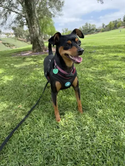 Phoebe Aka Twixx photo 3