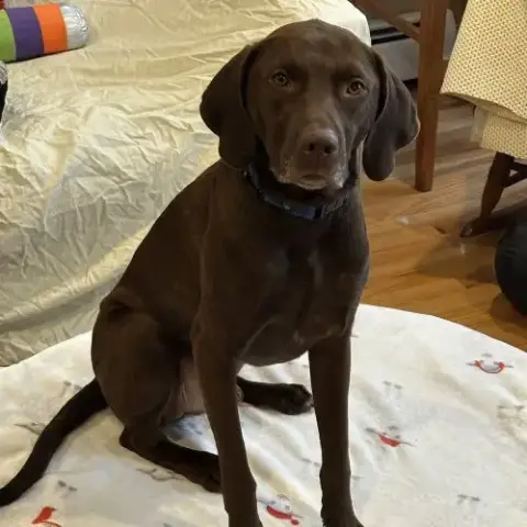 Buddy photo 2