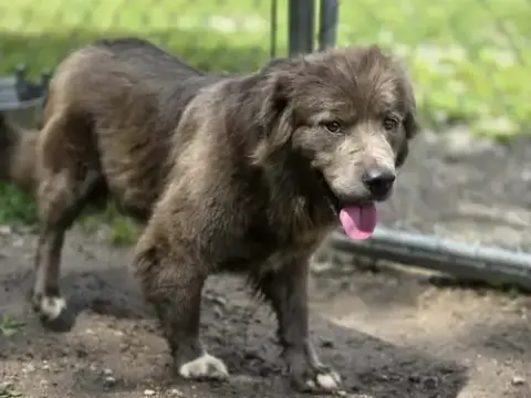 Bella photo 2