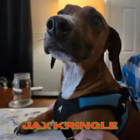 Jax Kringle photo 3
