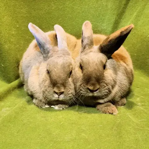 Edna photo 3