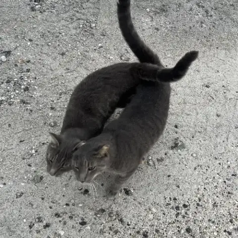 Lloyd & Larry photo 2