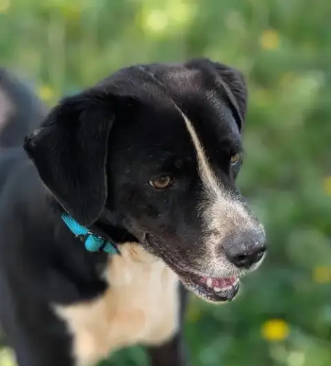 Oakley photo 2
