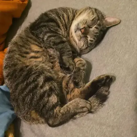 Roscoe