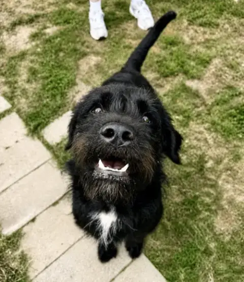 Fletch photo 4