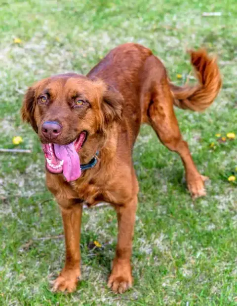 June Carter photo 4