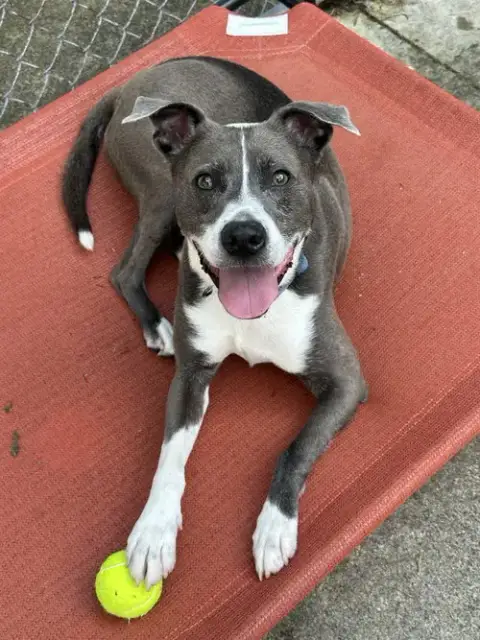 Blue Steele photo 2