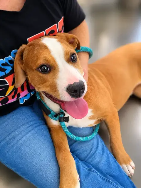 Saturn: Not At Shelter
