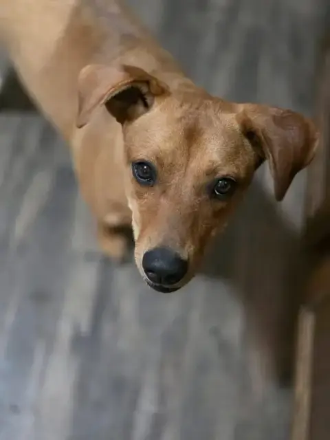 Sophie photo 2