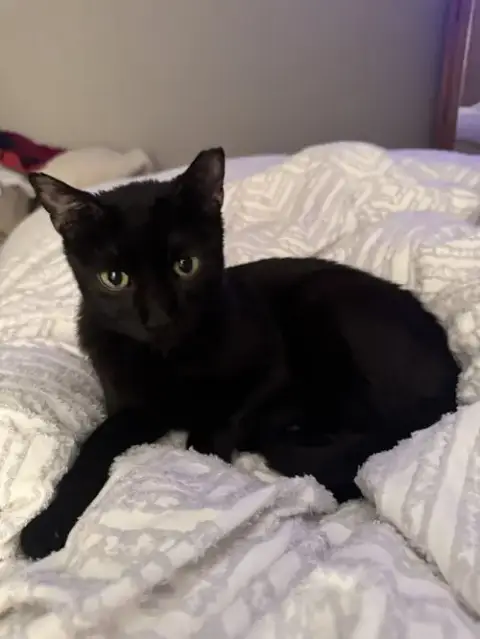 Zeke
