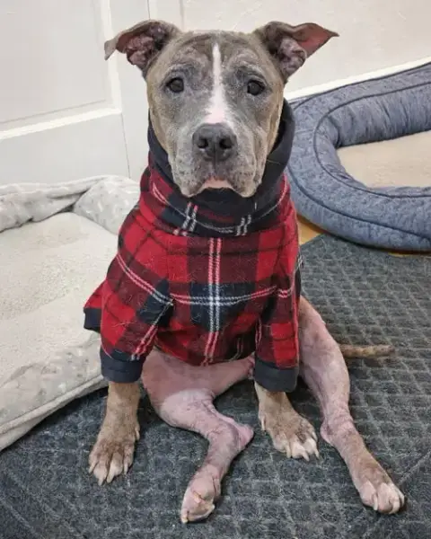 Penny