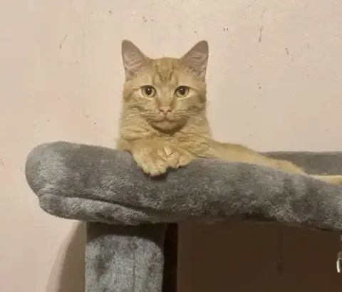 Finn =^.^=