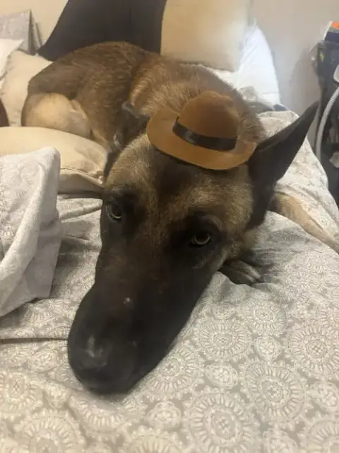 Hunter photo 3