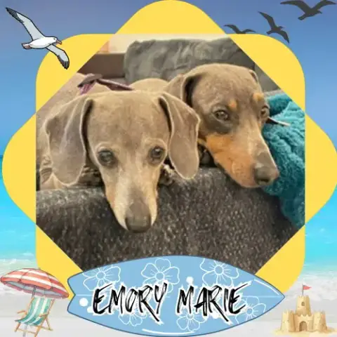 Emory Marie+