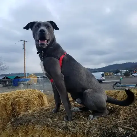 Tucker
