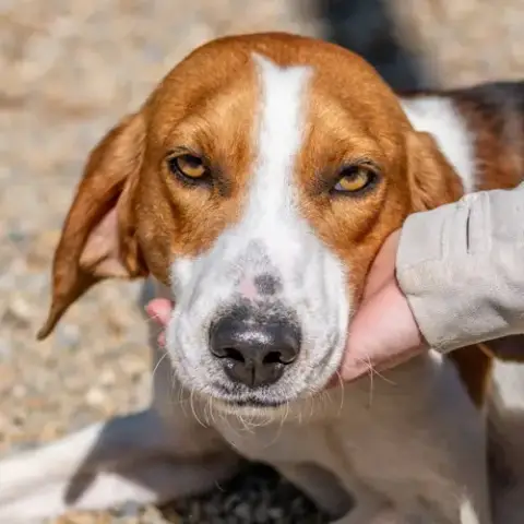 Kevin photo 4