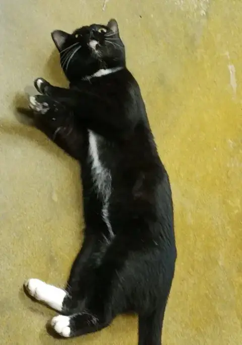 Francis photo 3