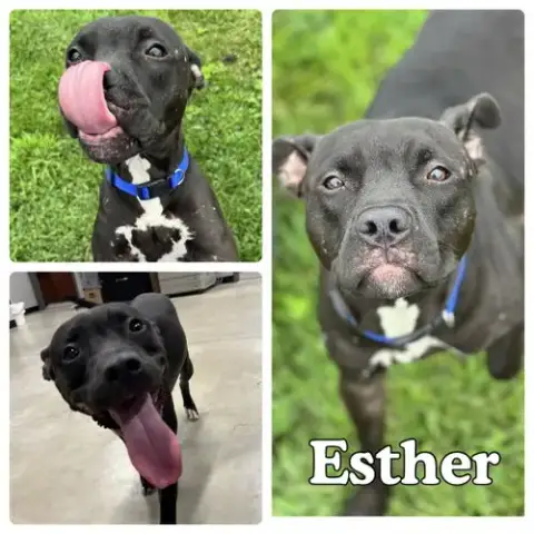 Esther
