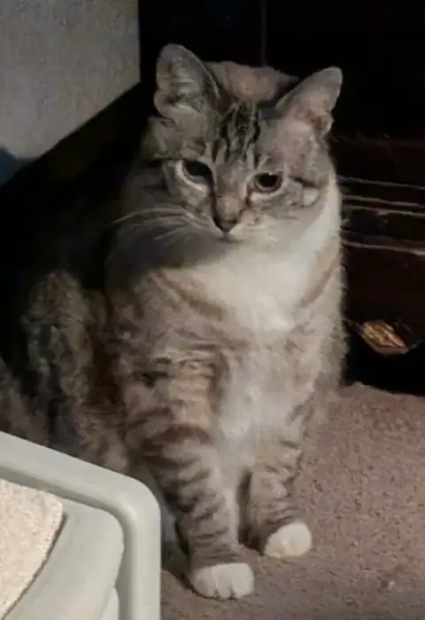 Ella photo 3