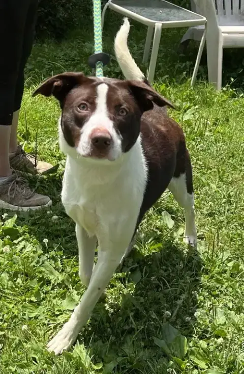 Zephyr photo 4