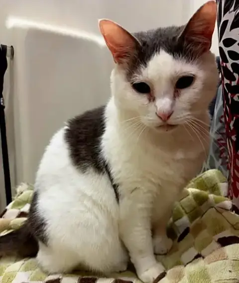 Ethel