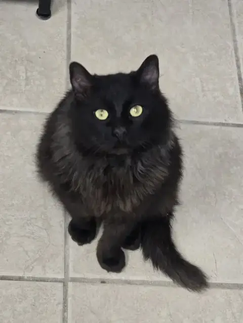 Zeke