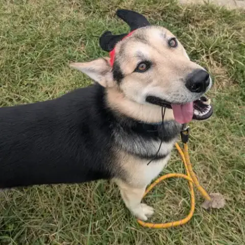 Max