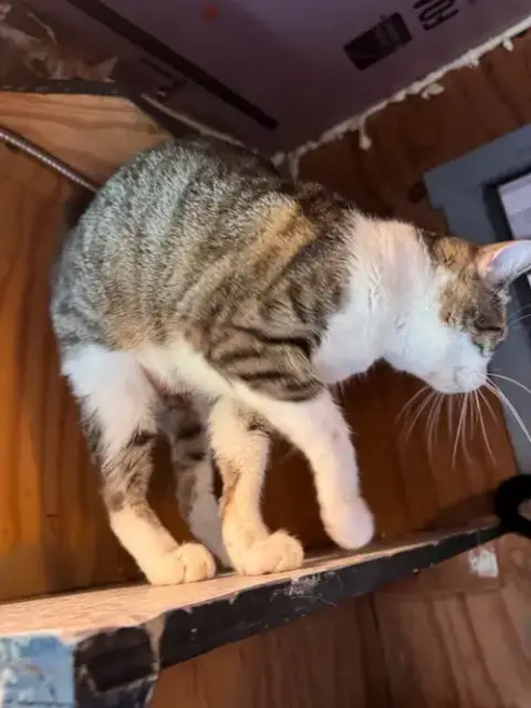 Catrick Swayzee photo 2