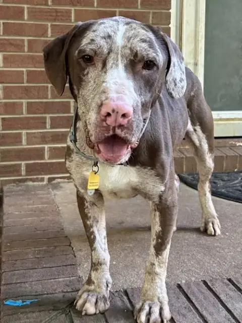 Jasper photo 3