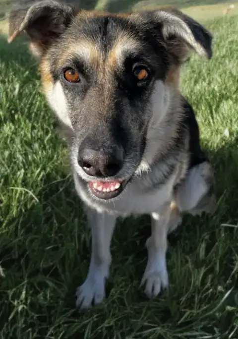 Kaia photo 3
