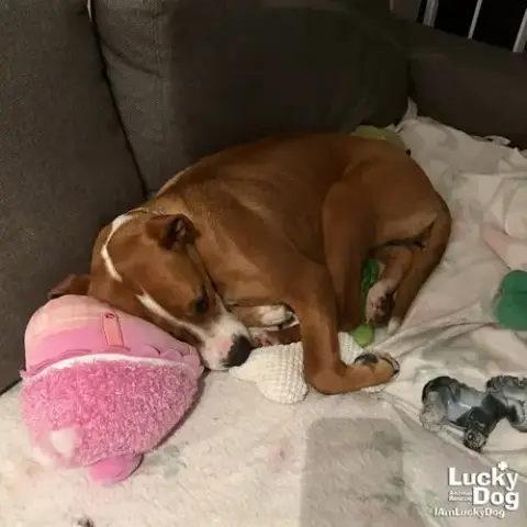 Cynthia photo 4