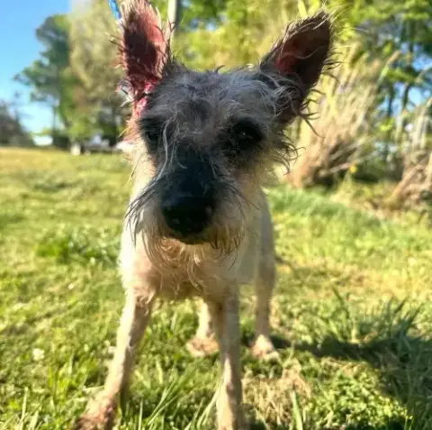 Zoe