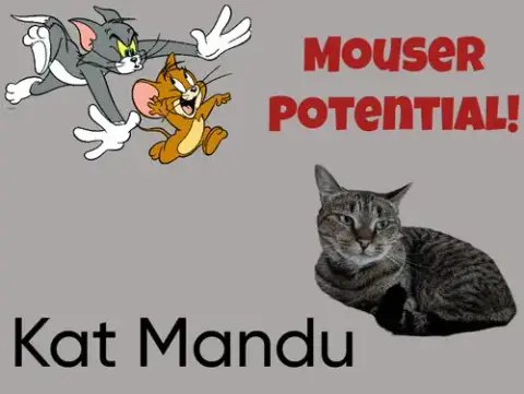 Kat Mandu