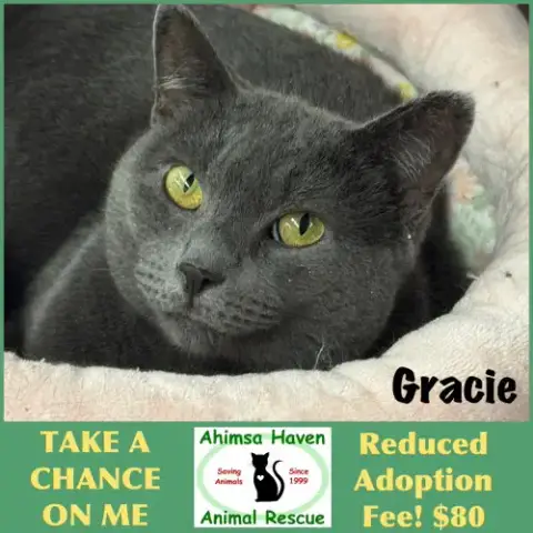 Gracie