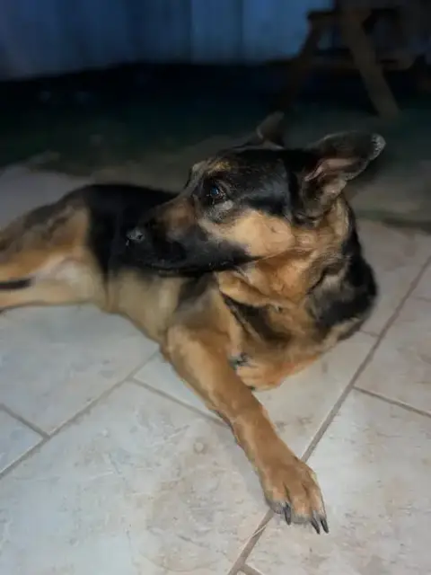 Daphne photo 3
