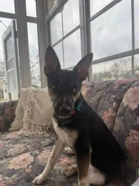 Missy photo 3