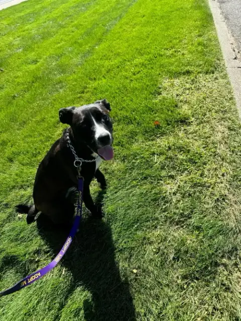 Finley photo 2