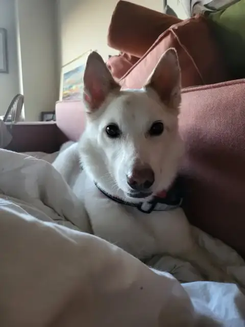 Casper Of Md photo 2