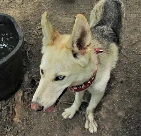 Luka photo 3